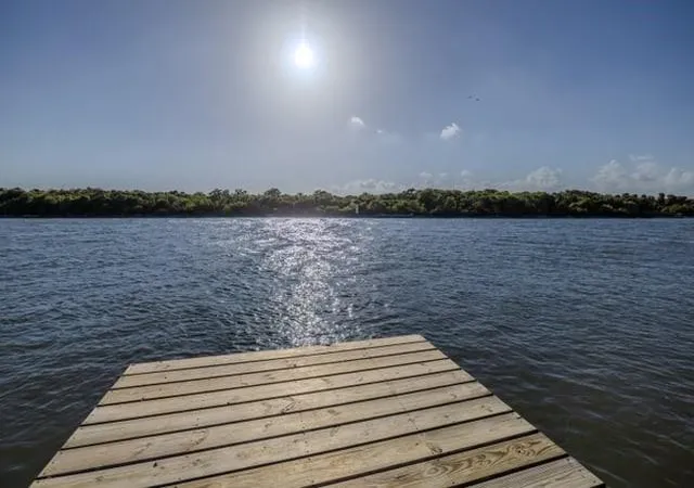 50th image of 438 Private Road 670, Matagorda, TX 77457 | MLS# 21373879