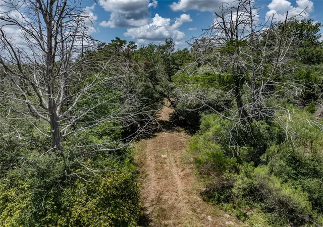 Photo 3 of Land for sale at 1126 Abel Rd, New Ulm, TX 78950 | MLS# 77850676 | Listing updated on 2026-09-02