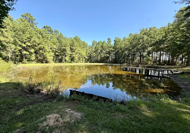 3rd image of 5096 N Us Hwy 287, Grapeland, TX 75844 | MLS# 10097175