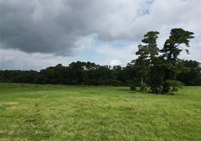 5th image of 1001 Acres Northview Trl, Crockett, TX 75835 | MLS# 90422488
