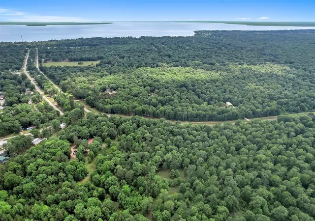 23rd image of Tbd Somerset Trail Rd, Point Blank, TX 77364 | MLS# 21564319