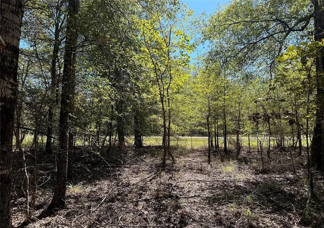 Photo 3 of Land for sale at Tbd Somerset Trl Rd, Point Blank, TX 77364 | MLS# 21564319 | Listing updated on 2026-09-21
