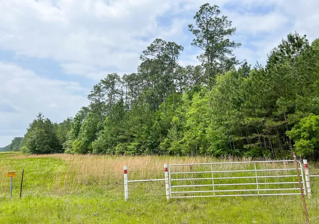 3rd image of C-1 Fm 2937, Silsbee, TX 77656 | MLS# 39858747