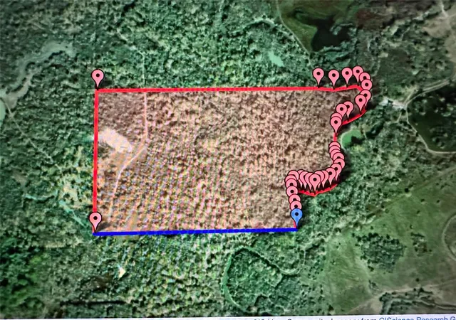 12th image of Tbd Navasota Ridge Rd, Navasota, TX 77868 | MLS# 42495436