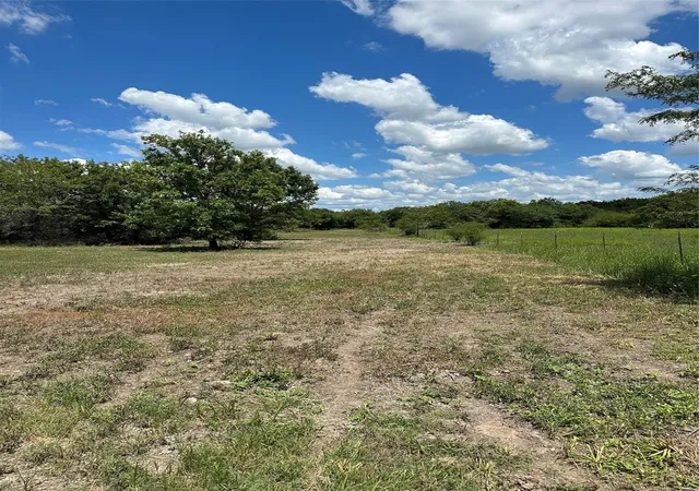 2nd image of Tbd Navasota Ridge Rd, Navasota, TX 77868 | MLS# 42495436