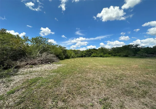 Photo 3 of Land for sale at Tbd Navasota Ridge Rd, Navasota, TX 77868 | MLS# 42495436 | Listing updated on 2026-08-11