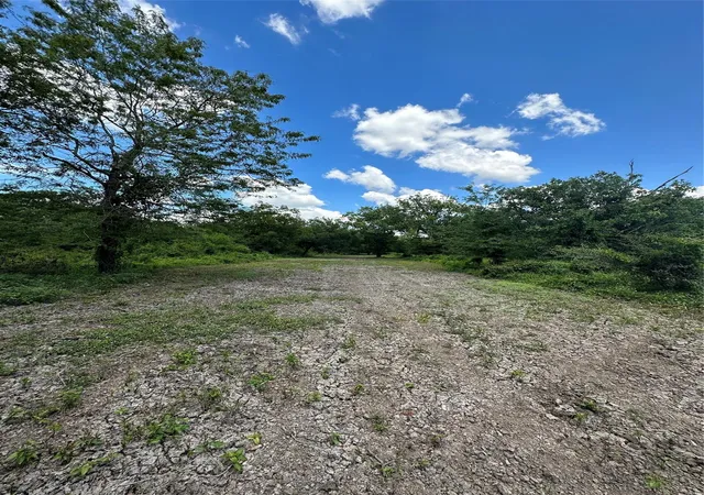 Photo 3 of Land for sale at Tbd Navasota Ridge Rd, Navasota, TX 77868 | MLS# 42495436 | Listing updated on 2026-08-11