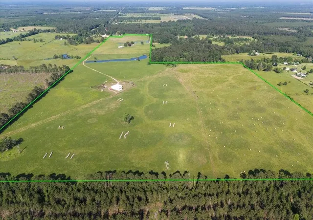 Photo 3 of Land for sale at 4096 Fm 1004 W, Kirbyville, TX 75956 | MLS# 58101962 | Listing updated on 2026-08-10