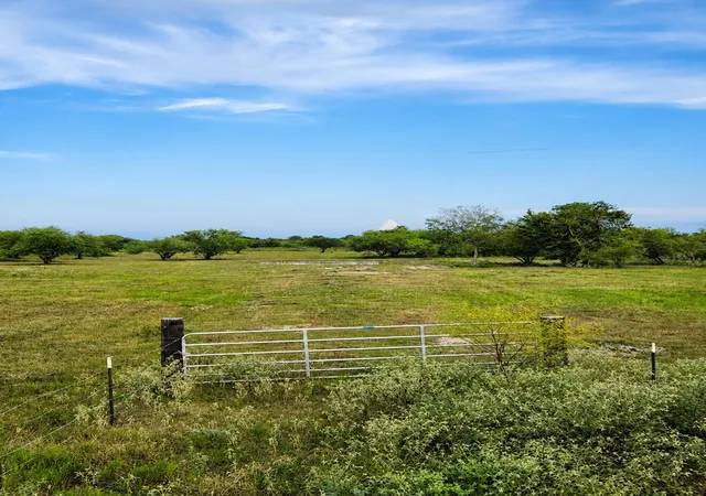 4th image of 13550 Moody Rd, Needville, TX 77461 | MLS# 47254184