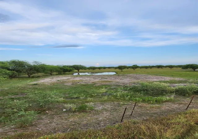 6th image of 13550 Moody Rd, Needville, TX 77461 | MLS# 47254184