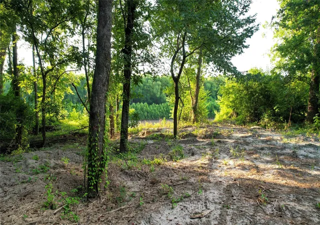 Photo 3 of Sale Pending at Tbd Antioch Rd, Midway, TX 75852 | MLS# 22139557 | Listing updated on 2026-09-14