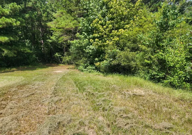 1st image of 216 Private Road 6046, Burkeville, TX 75932 | MLS# 44572851
