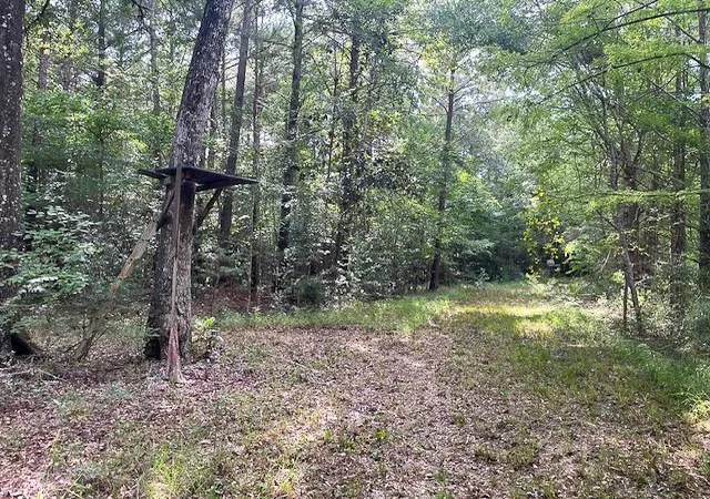 2nd image of 216 Private Road 6046, Burkeville, TX 75932 | MLS# 44572851