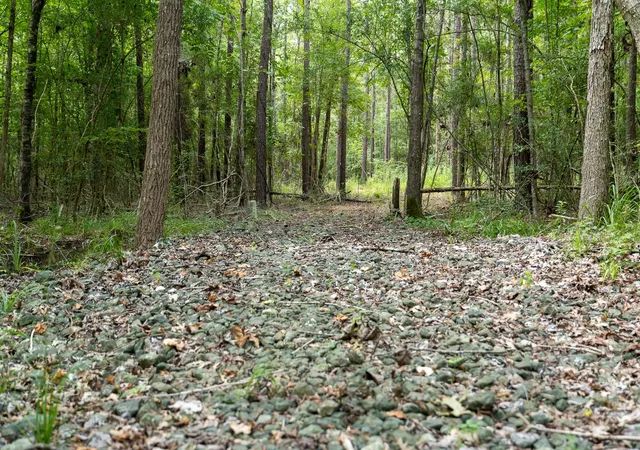2nd image of 000 Us Hwy 190, Woodville, TX 75979 | MLS# 94482998