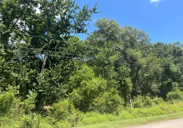 1st image of 1131 Bronco Trl, Angleton, TX 77515 | MLS# 75580105