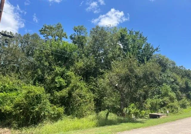 2nd image of 1131 Bronco Trl, Angleton, TX 77515 | MLS# 75580105