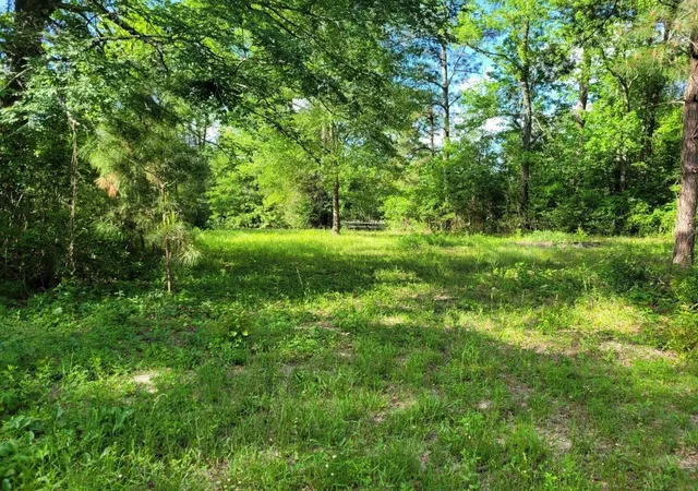 1st image of 15778 Hayden Rd, Conroe, TX 77306 | MLS# 57844776