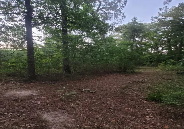 2nd image of 15778 Hayden Rd, Conroe, TX 77306 | MLS# 57844776