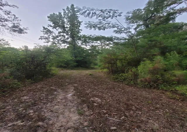 3rd image of 15778 Hayden Rd, Conroe, TX 77306 | MLS# 57844776