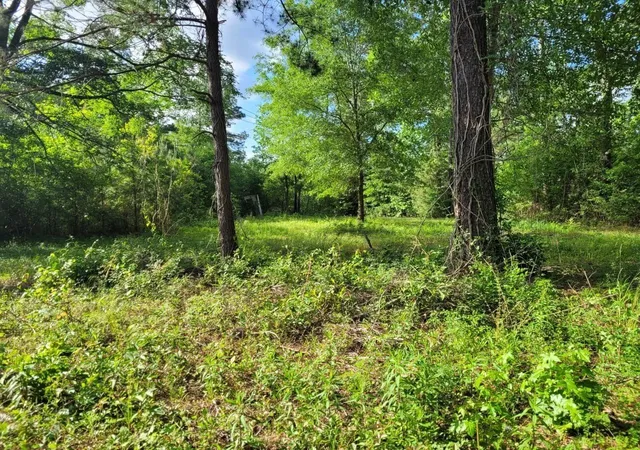 4th image of 15778 Hayden Rd, Conroe, TX 77306 | MLS# 57844776