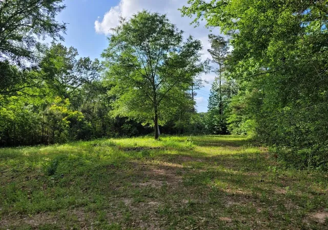 5th image of 15778 Hayden Rd, Conroe, TX 77306 | MLS# 57844776