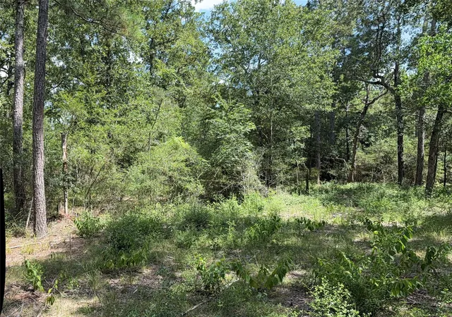1st image of 24805 Nottingham Cir, Hockley, TX 77447 | MLS# 73615392