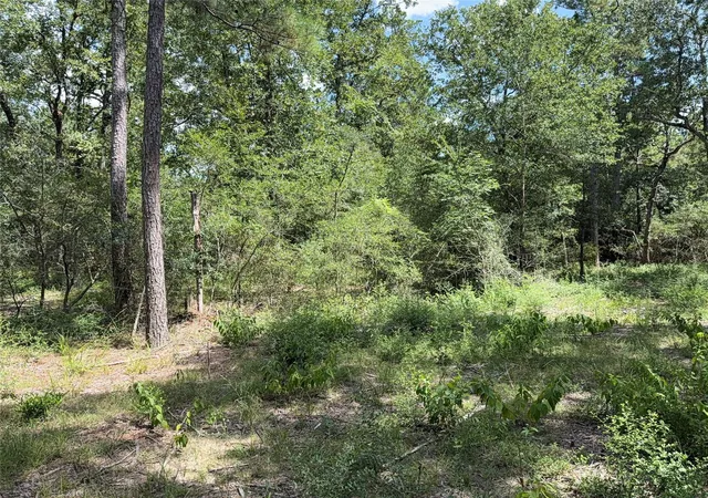 2nd image of 24805 Nottingham Cir, Hockley, TX 77447 | MLS# 73615392