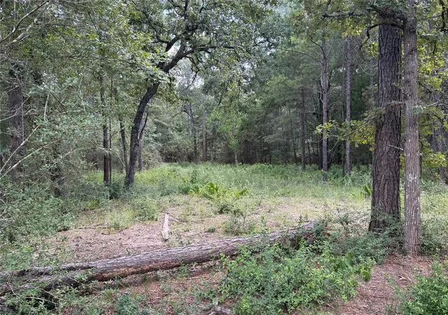3rd image of 24805 Nottingham Cir, Hockley, TX 77447 | MLS# 73615392