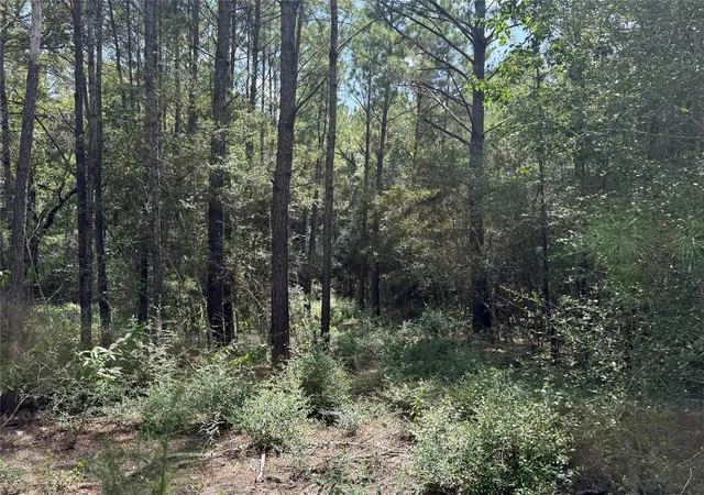 4th image of 24805 Nottingham Cir, Hockley, TX 77447 | MLS# 73615392