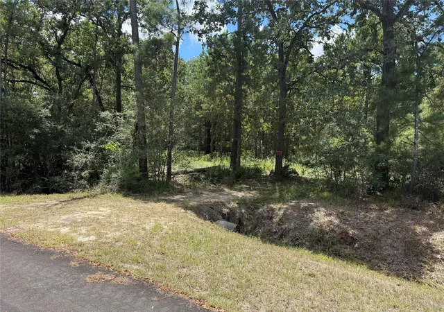 5th image of 24805 Nottingham Cir, Hockley, TX 77447 | MLS# 73615392