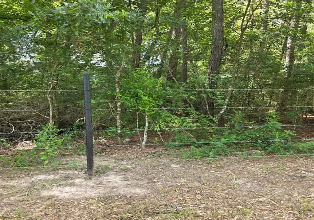 Photo 3 of Land for sale at 15636 Woodman Rd, Conroe, TX 77306 | MLS# 54609312 | Listing updated on 2026-08-27