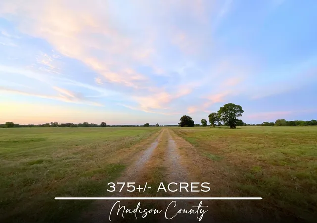 Photo 1 of Land for sale at 15025 Fm 2548, Midway, TX 75852 | MLS# 7739976 | Listing updated on 2026-08-17