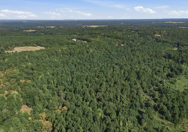 Photo 15 of Land for sale at 0 An County Rd 359, Palestine, TX 75803 | MLS# 53779314 | Listing updated on 2026-08-13