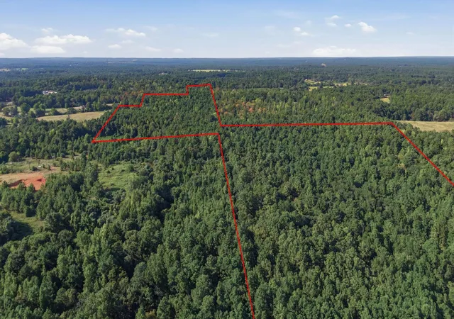 Photo 2 of Land for sale at 0 An County Rd 359, Palestine, TX 75803 | MLS# 53779314 | Listing updated on 2026-08-13