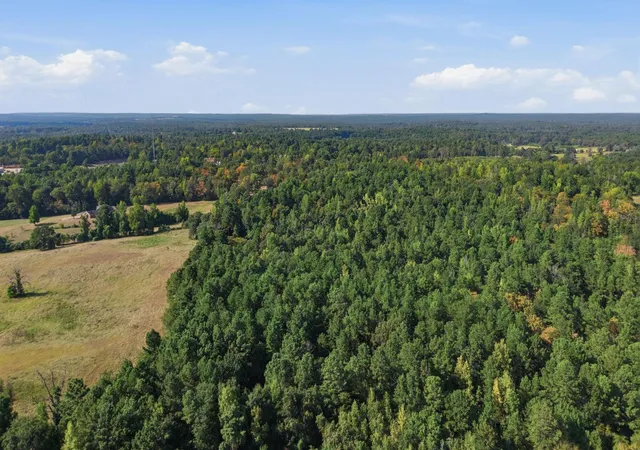 Photo 3 of Land for sale at 0 An County Rd 359, Palestine, TX 75803 | MLS# 53779314 | Listing updated on 2026-08-13