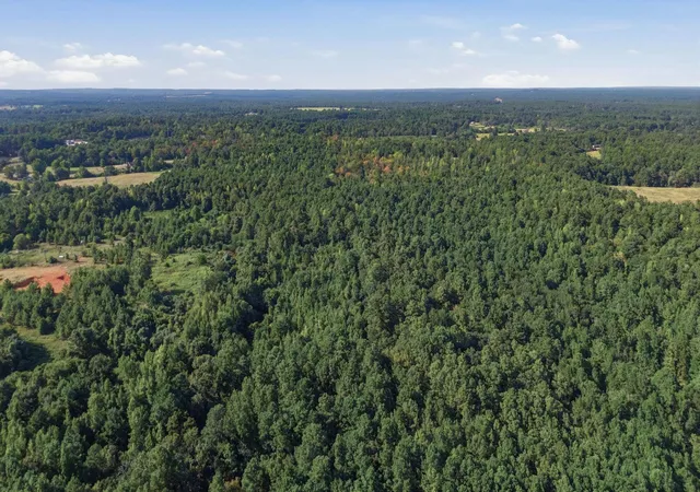 Photo 4 of Land for sale at 0 An County Rd 359, Palestine, TX 75803 | MLS# 53779314 | Listing updated on 2026-08-13