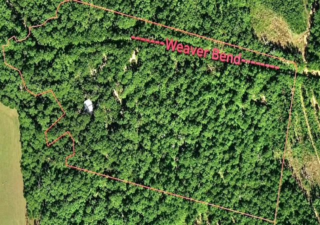 Photo 2 of Land for sale at 4499 Weaver Bnd Rd, Huntington, TX 75949 | MLS# 45632233 | Listing updated on 2026-09-04
