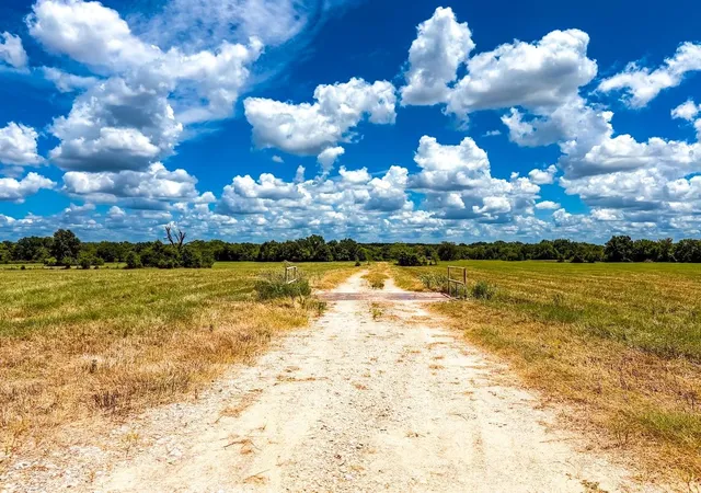 Photo 3 of Land for sale at 0000 County Rd 520, Fairfield, TX 75840 | MLS# 35469561 | Listing updated on 2026-08-11