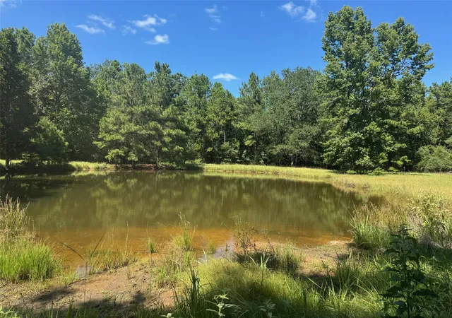 2nd image of 390 Pr 5200, Kennard, TX 75847 | MLS# 78981234
