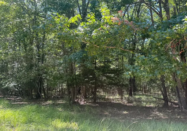 Photo 2 of Sale Pending at 390 Prairie 5200, Kennard, TX 75847 | MLS# 78981234 | Listing updated on 2026-08-25