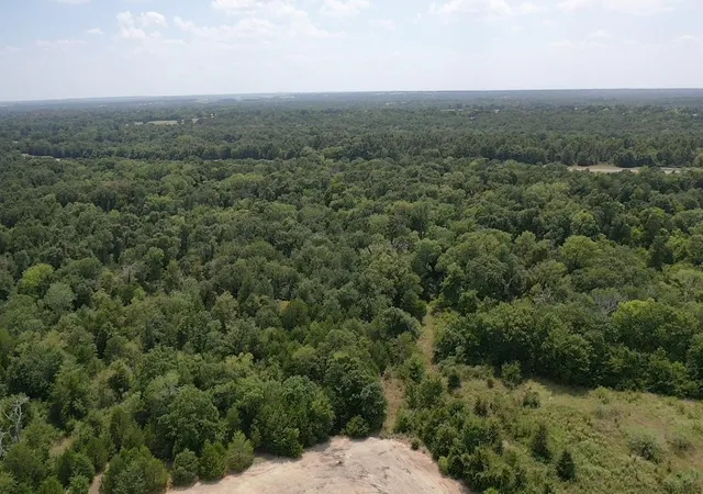 Photo 11 of Land for sale at Tbd I 45, Buffalo, TX 75831 | MLS# 85501636 | Listing updated on 2026-08-14