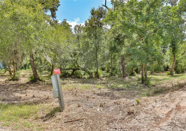 10th image of 2289 Cr 851, Brazoria, TX 77422 | MLS# 77114760