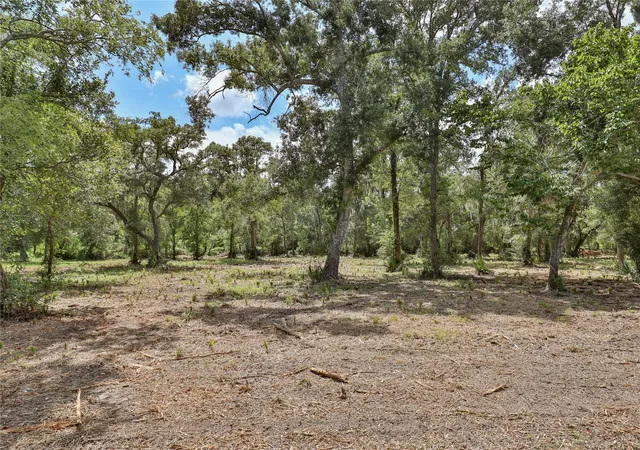 1st image of 2289 Cr 851, Brazoria, TX 77422 | MLS# 77114760