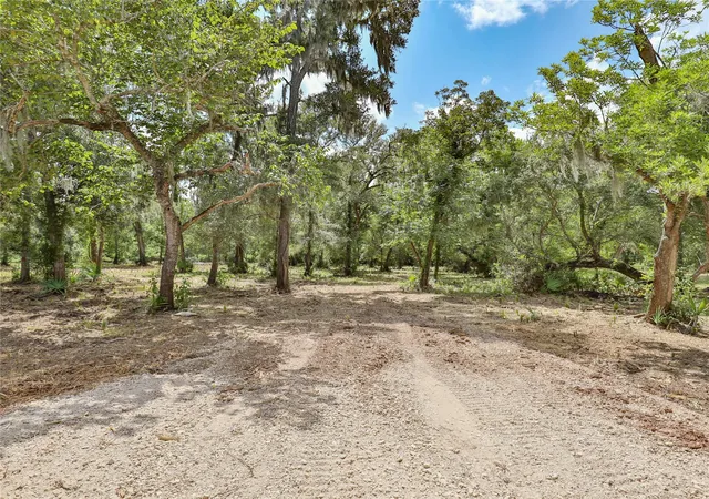 2nd image of 2289 Cr 851, Brazoria, TX 77422 | MLS# 77114760