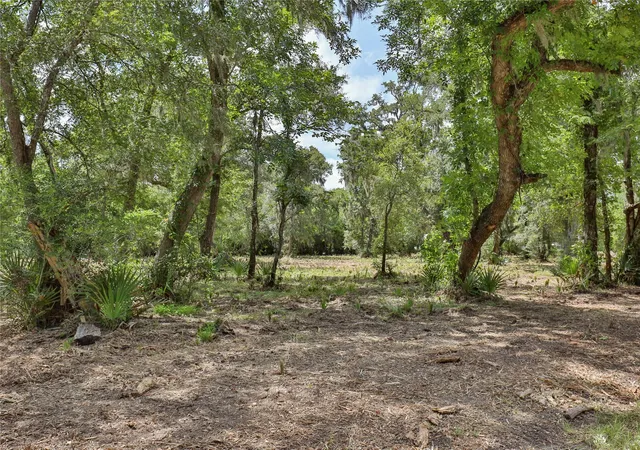 3rd image of 2289 Cr-851, Brazoria, TX 77422 | MLS# 77114760