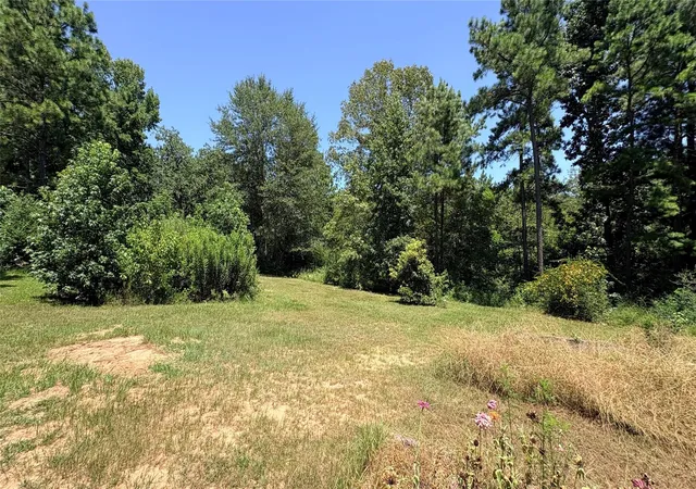 Photo 3 of Land for sale at 391 Deer Country Rd, Chester, TX 75936 | MLS# 36818596 | Listing updated on 2026-09-09