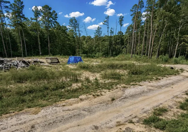 3rd image of 11238 Wildwood Lane, Plantersville, TX 77363 | MLS# 24468568