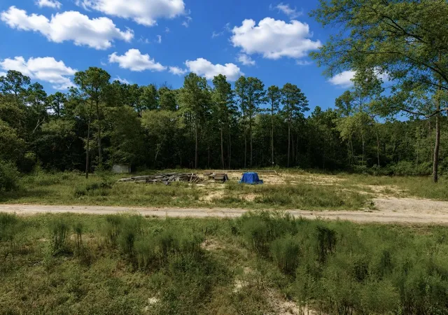 4th image of 11238 Wildwood Lane, Plantersville, TX 77363 | MLS# 24468568