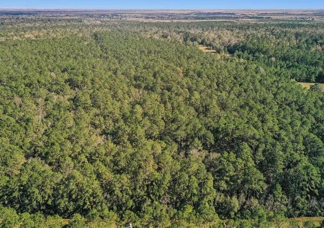1st image of Tbd Hwy 61, Hankamer, TX 77560 | MLS# 8964709