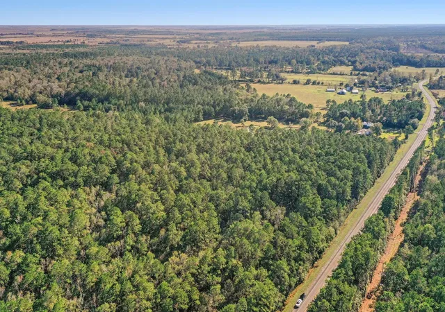 2nd image of Tbd Hwy 61, Hankamer, TX 77560 | MLS# 8964709
